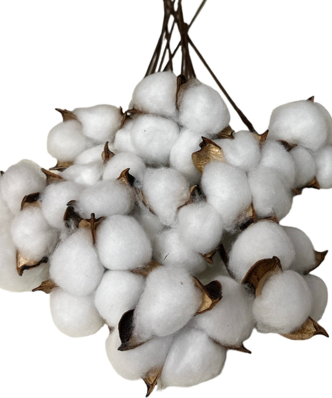 Fir de Bumbac alb 10/set 30cm