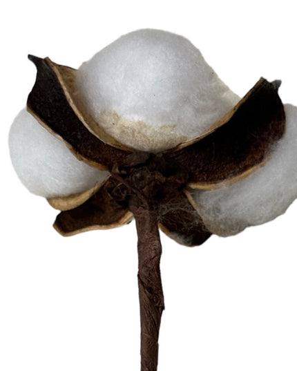 Fir de Bumbac alb 10/set 30cm