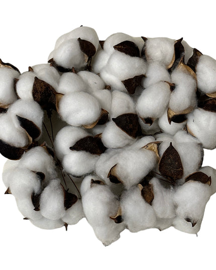 Floare Bumbac 20/set 12cm