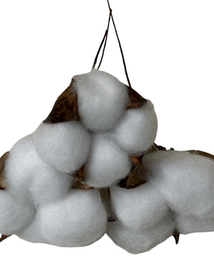 Floare Bumbac 20/set 12cm