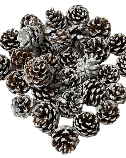 Conuri de brad natural 20/set