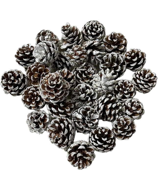 Conuri de brad natural 20/set