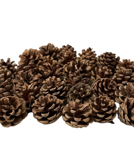 Conuri de brad natural 20/set