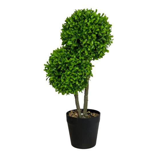 Ghiveci Buxus ornamental 40cm