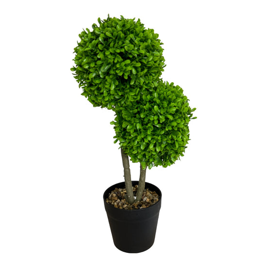 Ghiveci Buxus ornamental 40cm