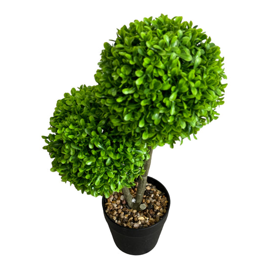 Ghiveci Buxus ornamental 40cm