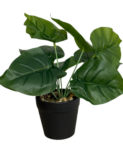 Ghiveci ornamental cu frunze 25cm