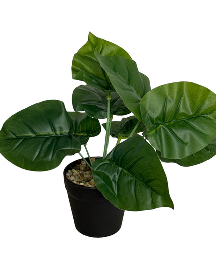 Ghiveci ornamental cu frunze 25cm