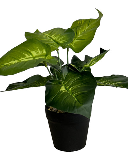 Ghiveci ornamental cu frunze 25cm