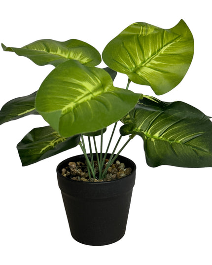 Ghiveci ornamental cu frunze 25cm