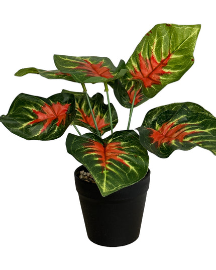Ghiveci ornamental cu frunze 25cm