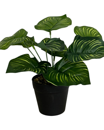 Ghiveci ornamental cu frunze 25cm
