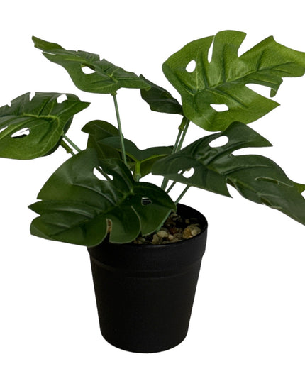 Ghiveci ornamental cu frunze 25cm
