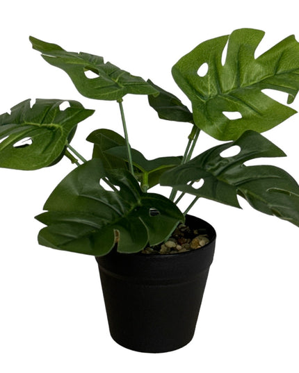Ghiveci ornamental cu frunze 25cm