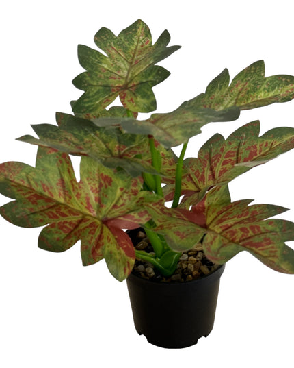 Ghiveci ornamental cu frunze 29cm