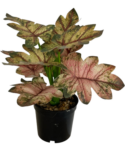 Ghiveci ornamental cu frunze 29cm