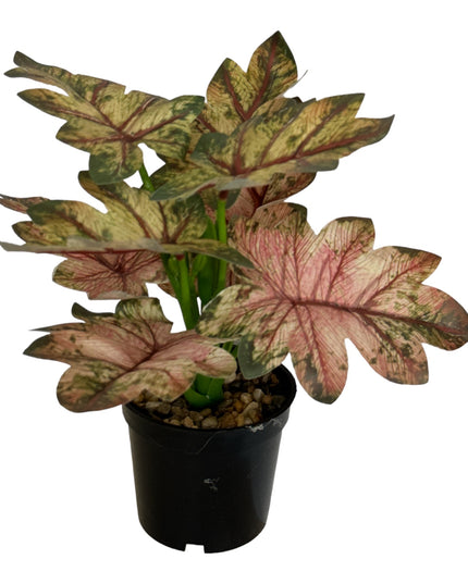 Ghiveci ornamental cu frunze 29cm