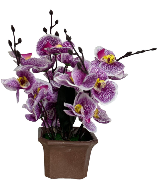 Ghiveci ornamental Orhidee 5 capete 30cm cod092-4
