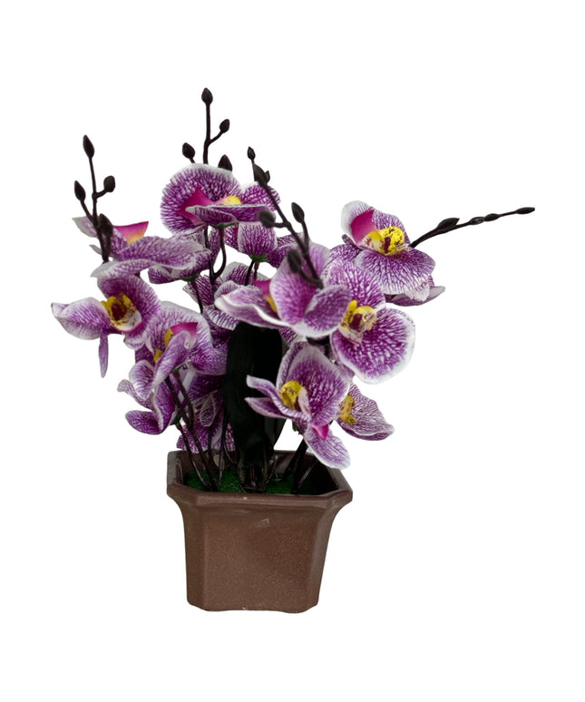 Ghiveci ornamental Orhidee 5 capete 30cm cod092-4