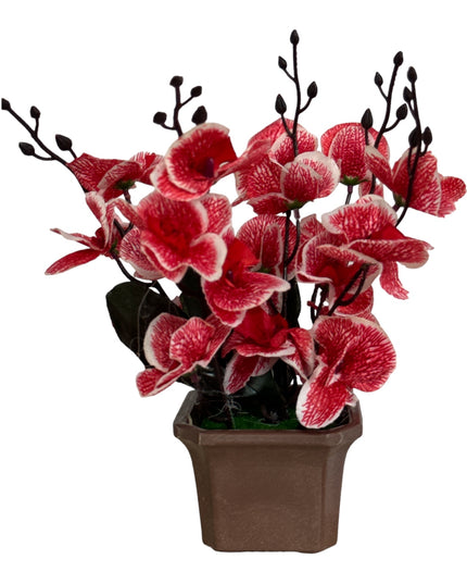 Ghiveci ornamental Orhidee 5 capete 30cm cod092-4