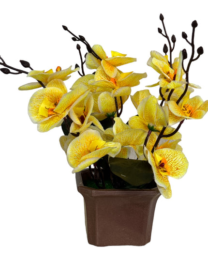 Ghiveci ornamental Orhidee 5 capete 30cm cod092-4