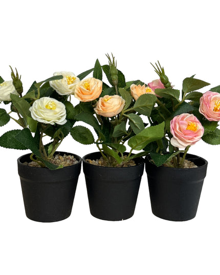 Ghiveci Rosa color 20cm