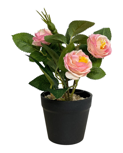 Ghiveci Rosa color 20cm