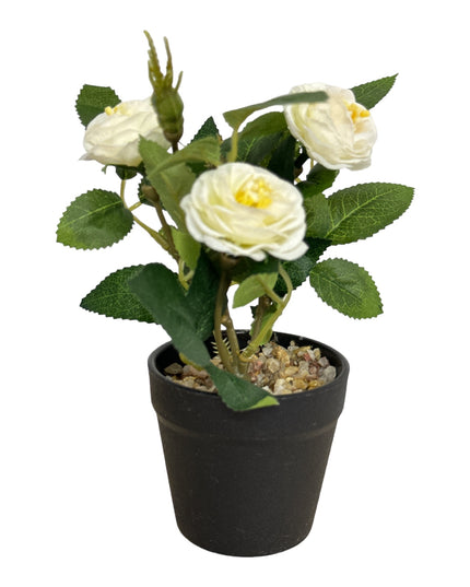 Ghiveci Rosa color 20cm