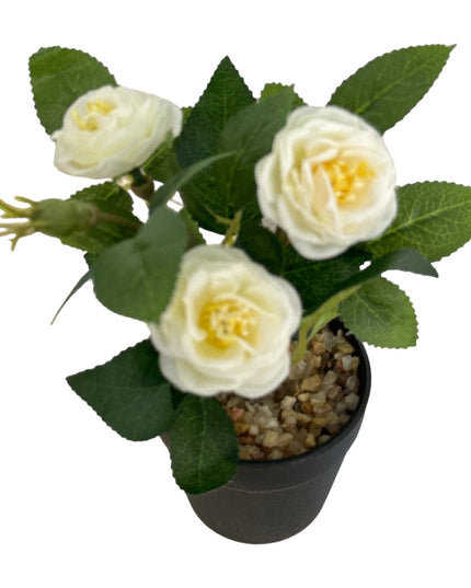 Ghiveci Rosa color 20cm