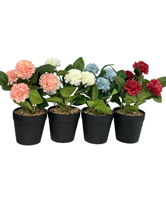 Ghiveci Hortensie color 20cm