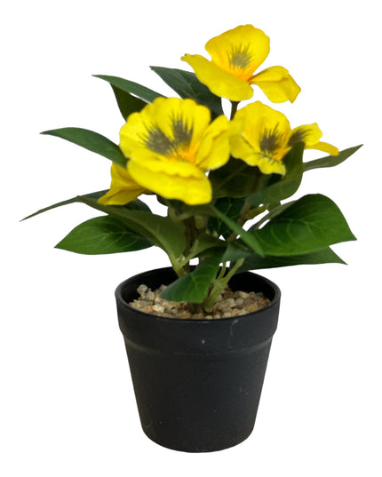 Ghiveci Panseluțe color 20cm