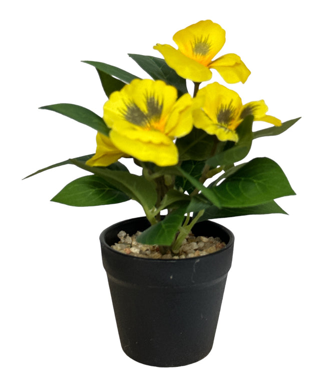 Ghiveci Panseluțe color 20cm