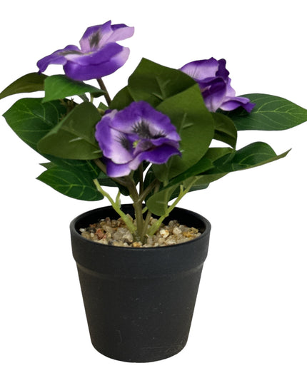 Ghiveci Panseluțe color 20cm