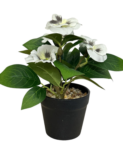 Ghiveci Panseluțe color 20cm