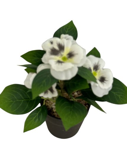 Ghiveci Panseluțe color 20cm