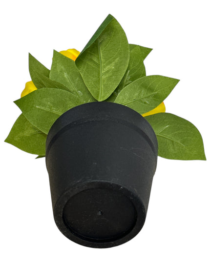 Ghiveci Panseluțe color 20cm