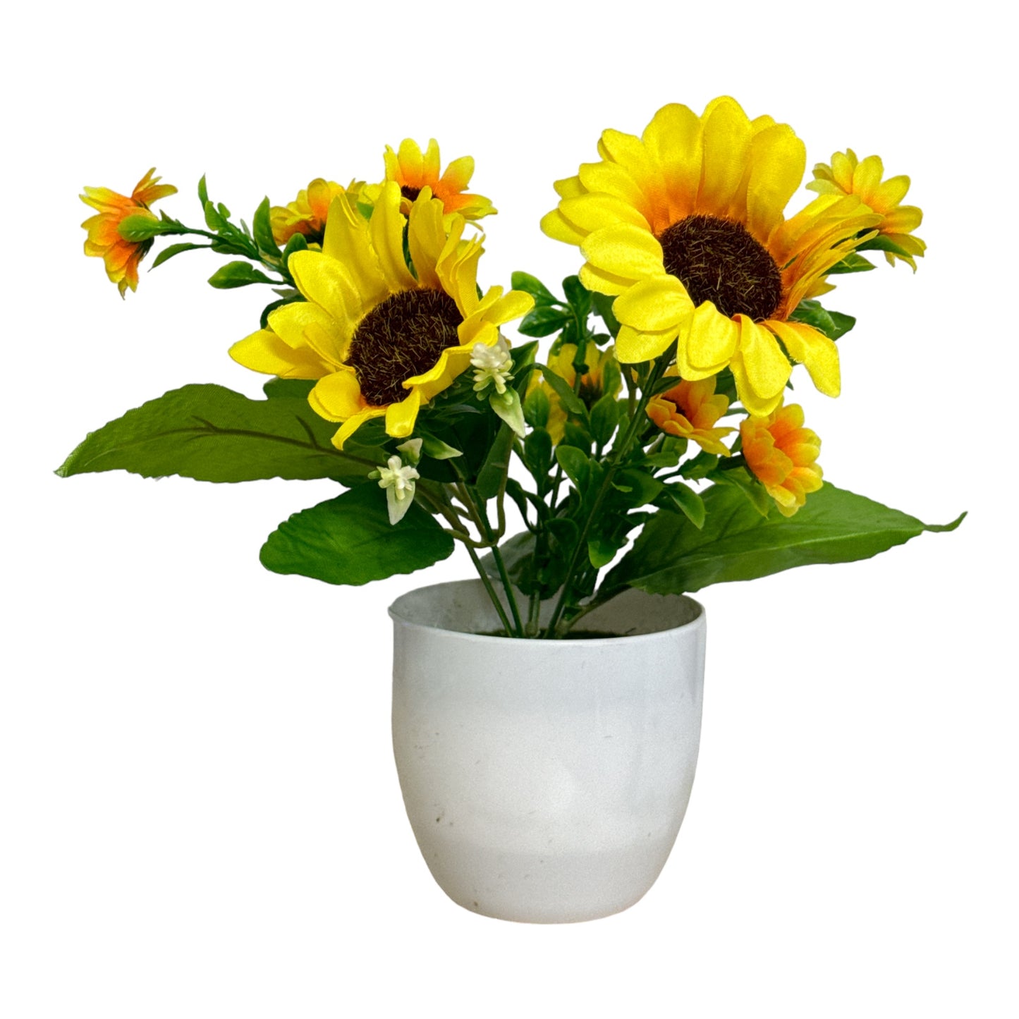 Ghiveci Floarea-Soarelui 22cm