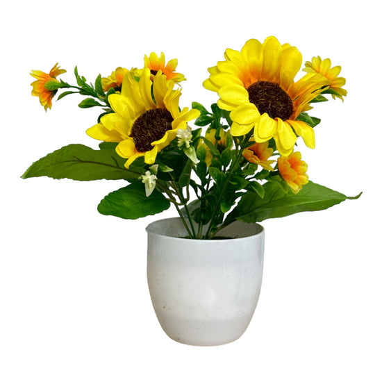 Ghiveci Floarea-Soarelui 22cm