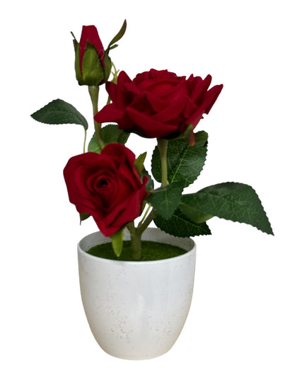 Ghiveci Trandafir  25cm