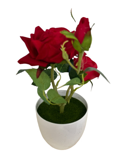 Ghiveci Trandafir  25cm