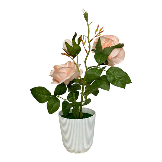 Ghiveci Trandafiri color 35cm
