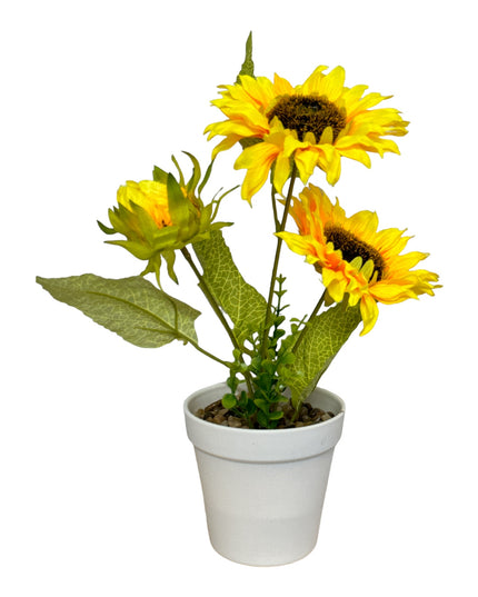 Ghiveci Floarea-Soarelui 35cm