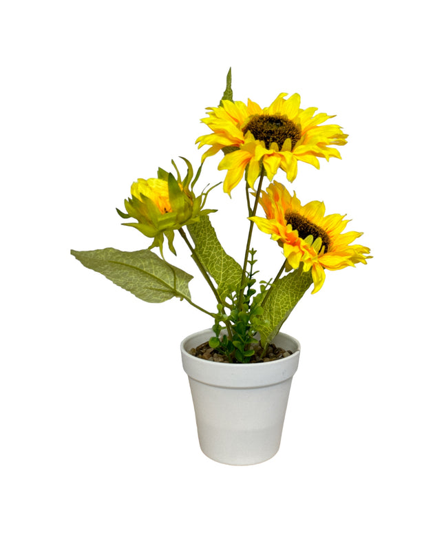 Ghiveci Floarea-Soarelui 35cm