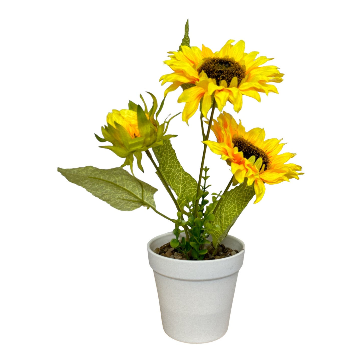 Ghiveci Floarea-Soarelui 35cm