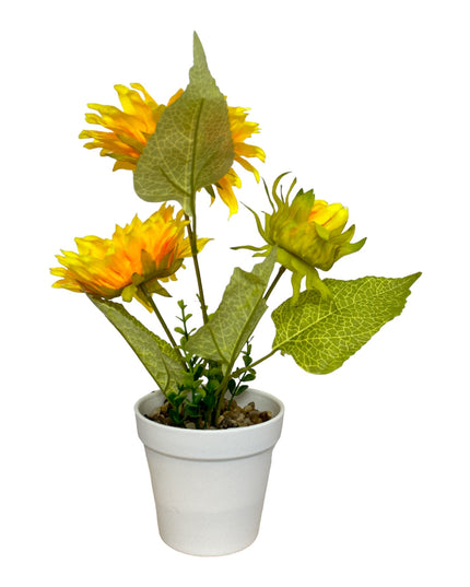 Ghiveci Floarea-Soarelui 35cm