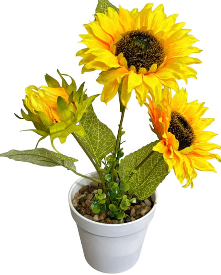 Ghiveci Floarea-Soarelui 35cm