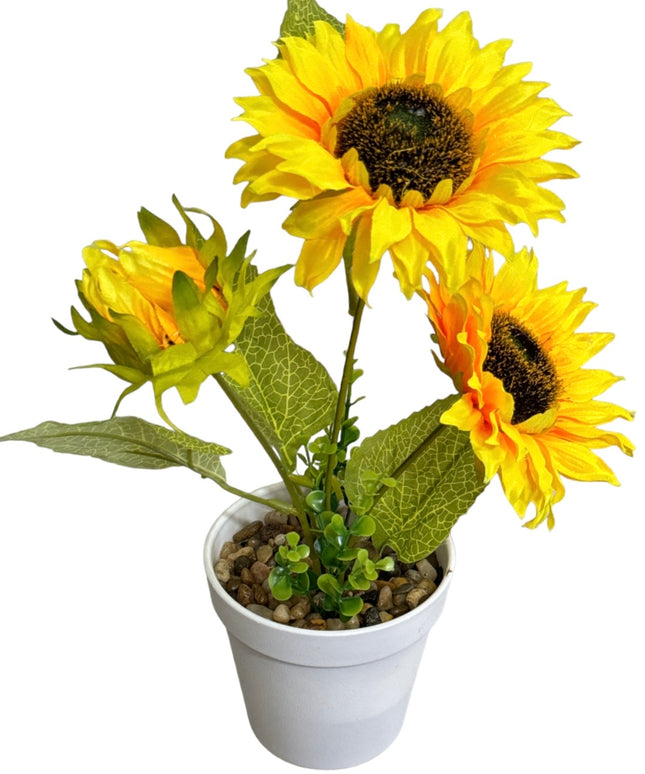 Ghiveci Floarea-Soarelui 35cm