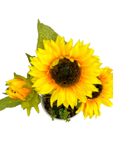 Ghiveci Floarea-Soarelui 35cm