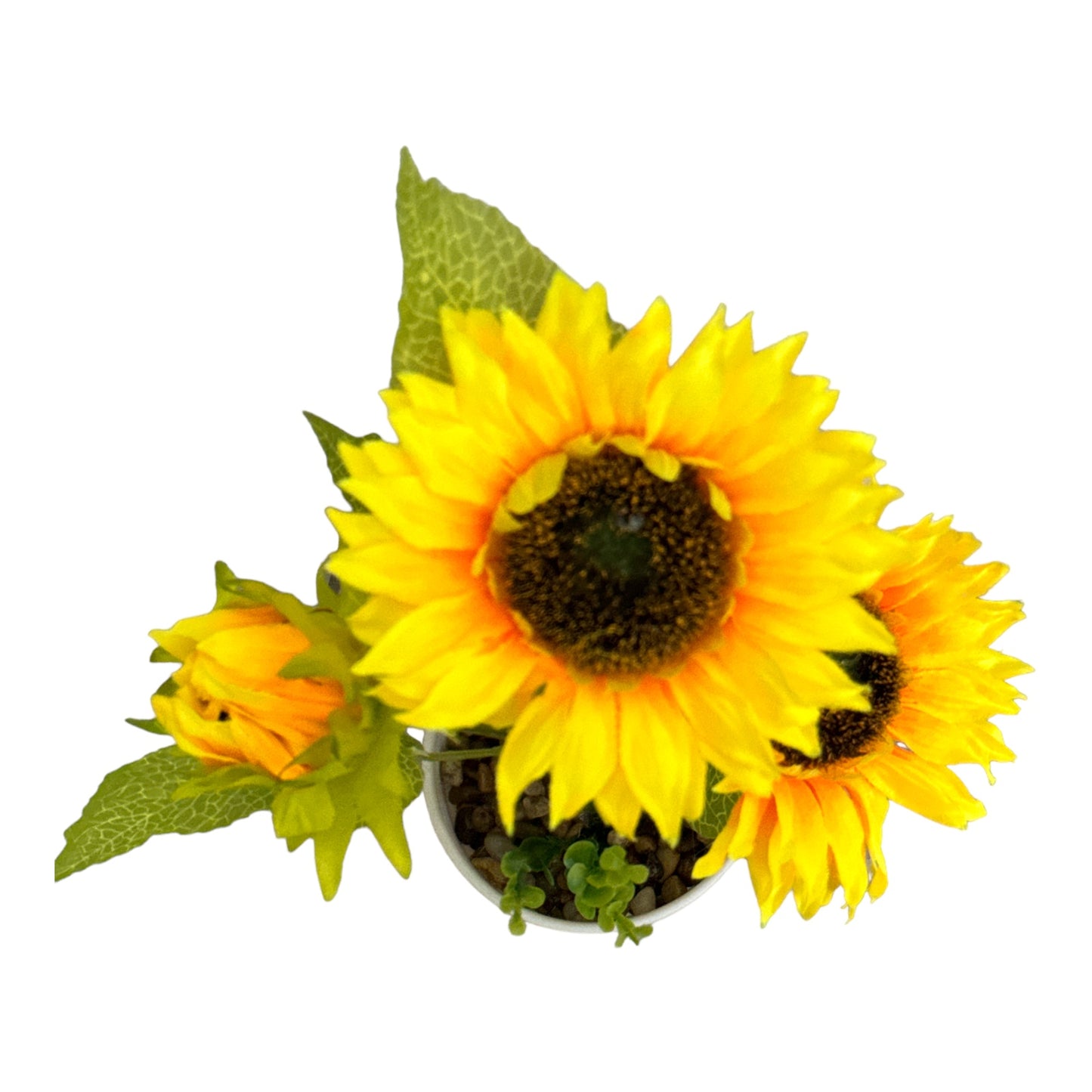 Ghiveci Floarea-Soarelui 35cm
