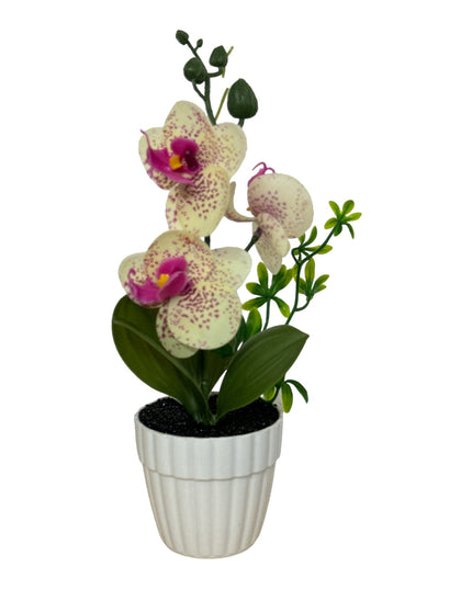 Ghiveci Orhidee color 25cm
